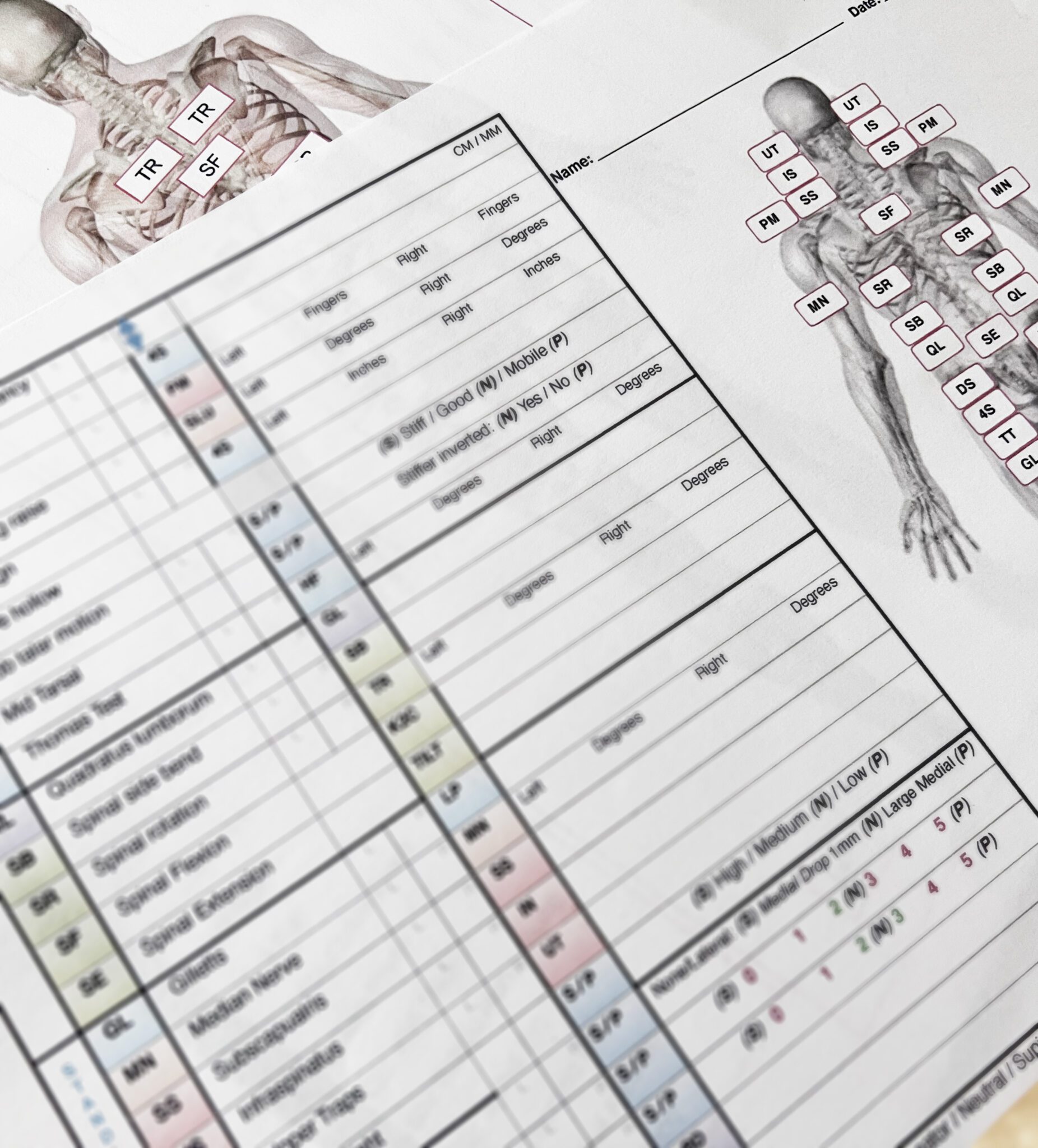 Running Biomechanics Assessments Jen Coppock
